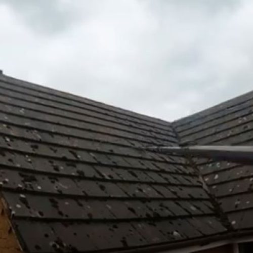 Roof Cleaning